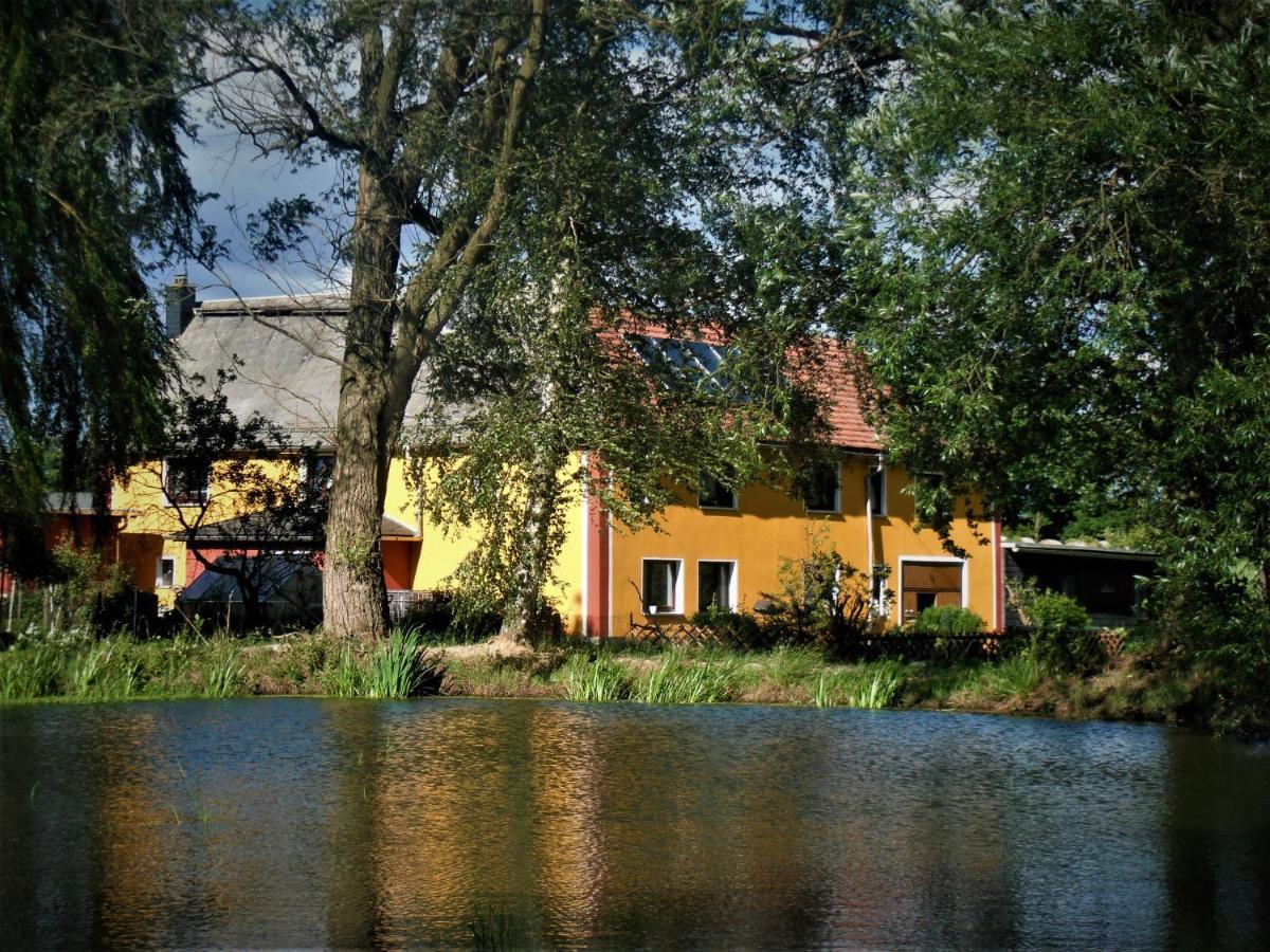 Ferienhof Im Gruenen Herzen Dittersdorf Buitenkant foto