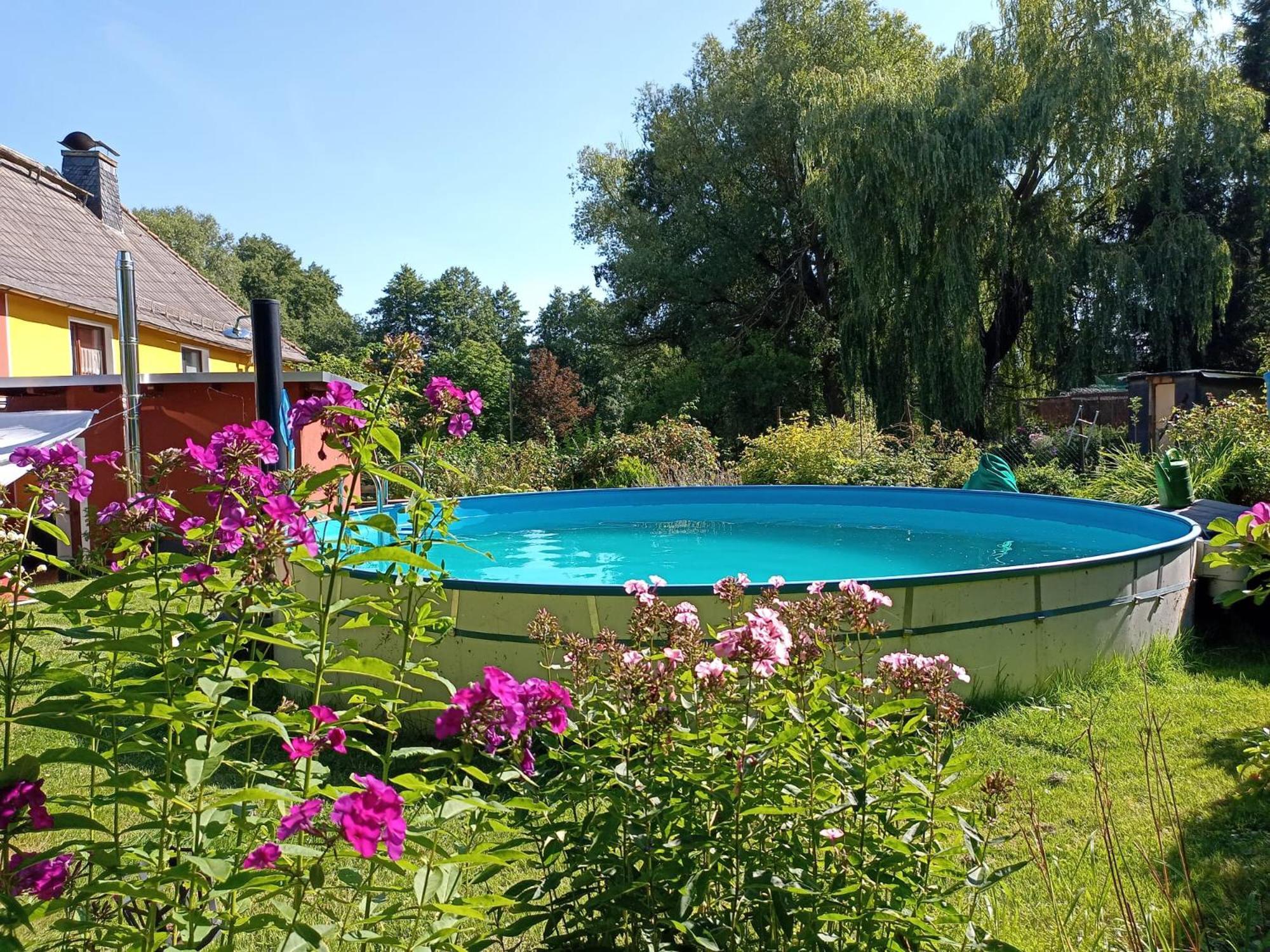 Ferienhof Im Gruenen Herzen Dittersdorf Buitenkant foto